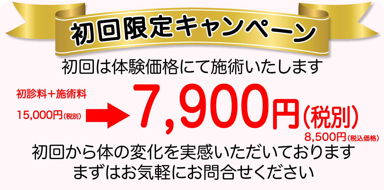 初回限定キャンペーン7900円