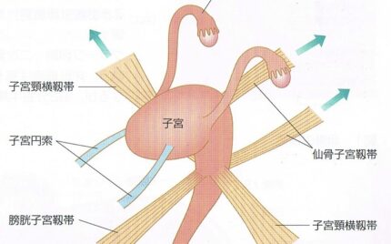千葉　稲毛　高齢　専門　不妊　鍼灸　整体　口コミ　喜び　コメント　不妊治療　妊娠　体外受精　おすすめ　出産　骨盤　歪み
