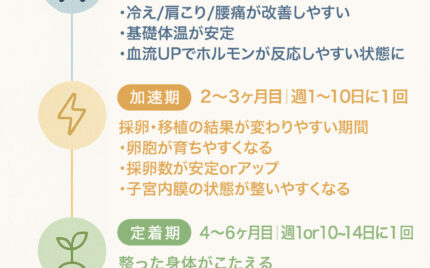 妊娠　妊活のロードマップ