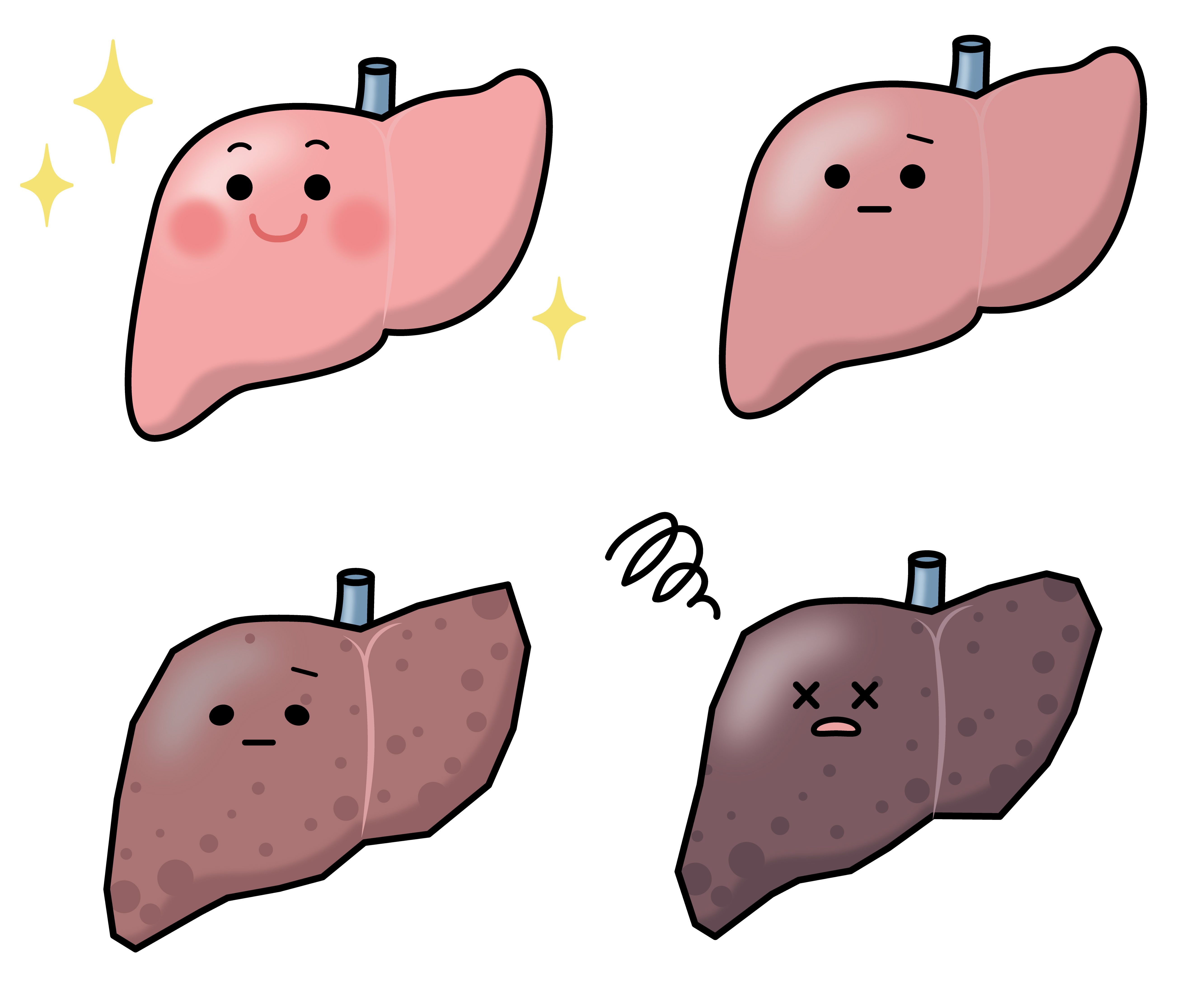 不妊　妊活　鍼灸　肝臓